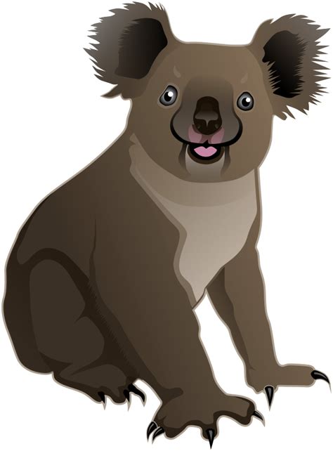 Koala clipart animated, Koala animated Transparent FREE ...