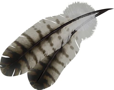 Feather Tribal Arrow Png Image Png Svg Clip Art For W