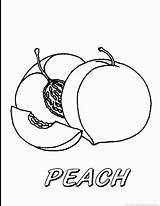 Peach Coloring Fruit Printable Tree Template 930px 99kb sketch template