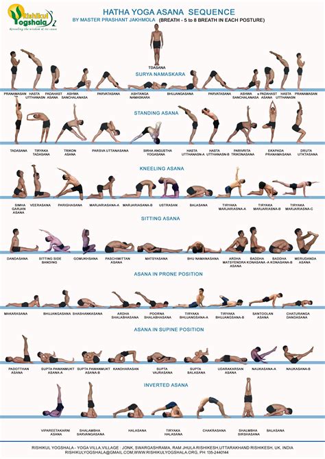 Hatha Yoga Primary Series Visual Ly