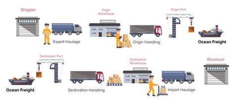 How International Shipping Woks Vega Express