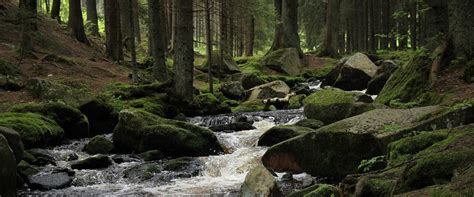 Het is de perfecte plek voor een stedentrip en er is dan ook van alles te doen. Tsjechië reisgids | Vakantie naar Tsjechië tips ...