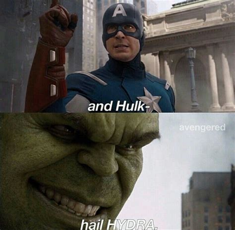 Hail Hydra Funny Marvel Memes Marvel Jokes Disney Marvel Marvel