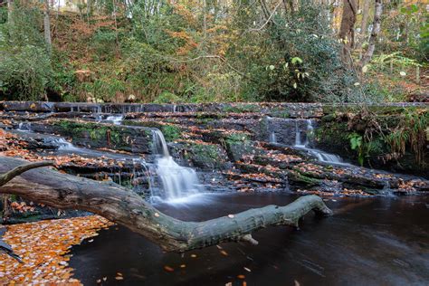 Rivelin Valley Sheffield Mark Naylor Flickr