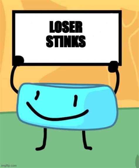Loser Stinks Imgflip