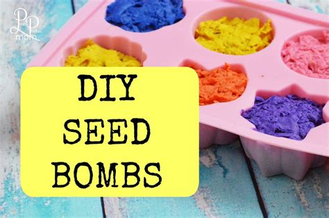Diy Seed Bombs To Jumps Start Your Spring Garden