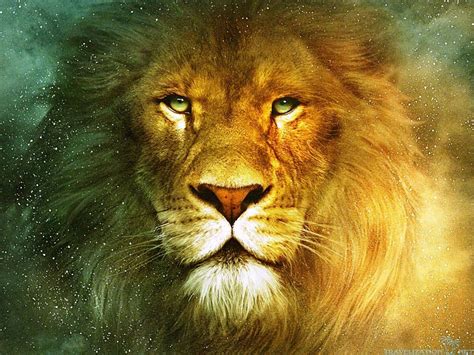 Beautiful Lion Wallpapers Lion Hd Wallpaper Download 1280x1024