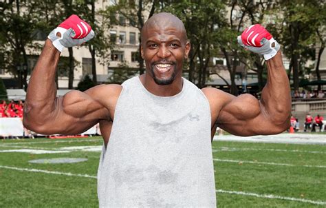 Обои взгляд улыбка лысый актер перчатки muscle мышцы pose terry crews Терри Крюс