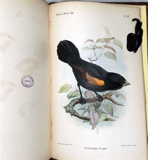 Catalogue Of The Birds In The British Museum Volume Xiii 13