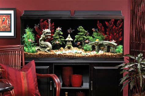 Dragon Temple Fish Tank Themes Fish Tank Fish Tank Decorations