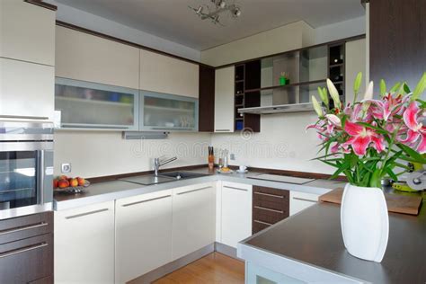 Striking Modern Kitchen Stock Photo Image Of Home Kitchen 25846598