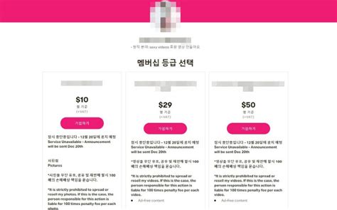 승무원 룩북녀 Vip 회원엔 속옷 벗어 성매매특별법 고발당해