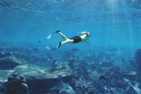 Skin Diving Snorkeling And Freediving What’s The Difference
