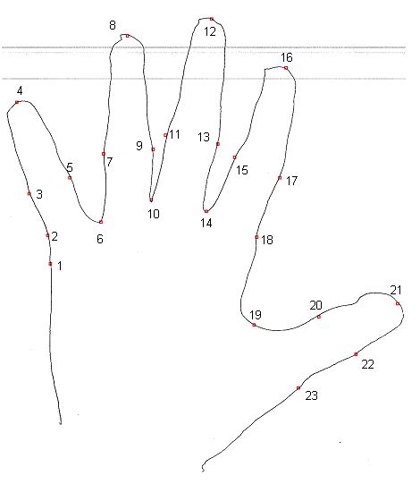 Sample Hand Geometry Biometric Identification System
