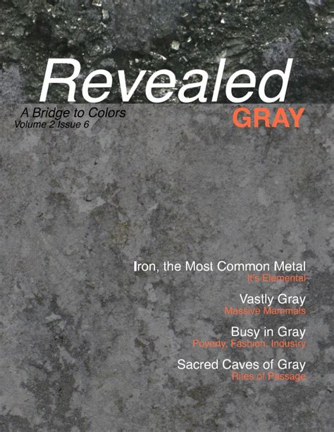 Revealed Colors Vol2 No 6 Gray By Patricia Lee Harrigan Blurb Books