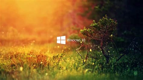 Windows 10 Nature Live Wallpaper