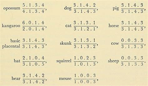 Feline dental formula and estimating kitten's age dental formula: Dental Formulas Cat, Dog, Horse, Cow, etc. | Vet medicine ...