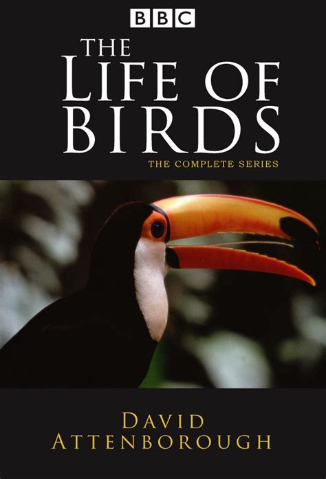 The Life Of Birds Série 1998 Senscritique