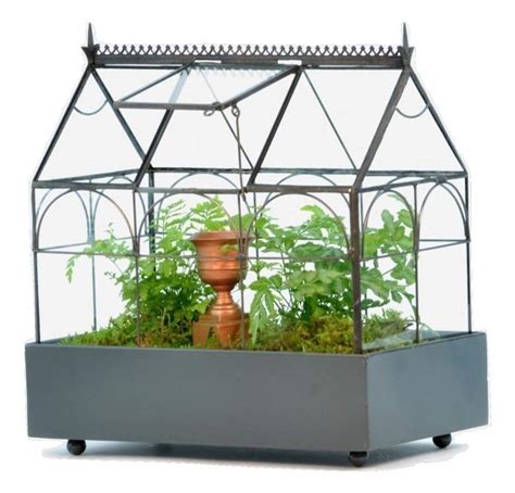 11 Best Wardian Cases And Terrariums For Sale Your Easy Buying Guide 2019