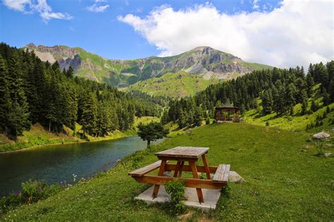 Artvin topraklarının yaklaşık %55'ini ormandır. Artvin Gezilecek 6 Güzel Yer - Ucuzagit Blog