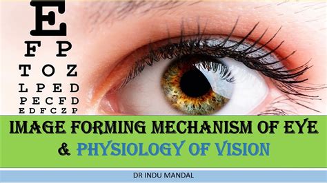 Image Forming Mechanism Of Eye And Physiology Of Vision Lecture By Dr