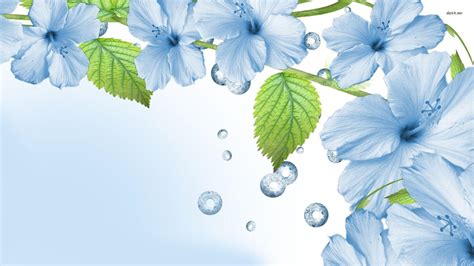 Blue Flower Background Images Blue Flowers Wallpapers Bodhiwasuen