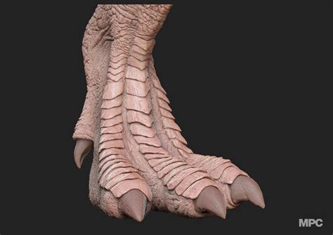 Dragon In Zbrush Dragon Art Zbrush Dragon