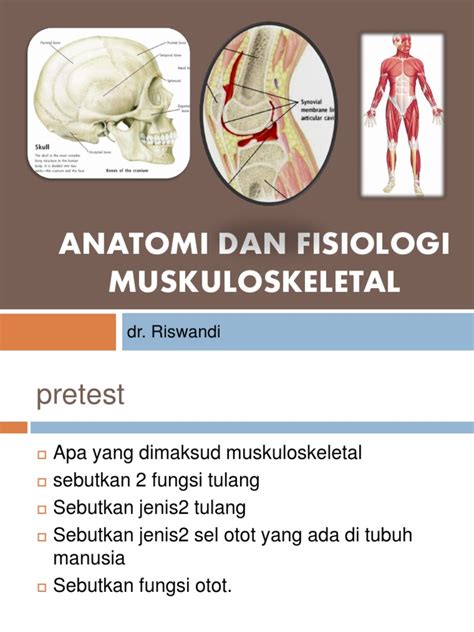 Makalah Anatomi Fisiologi Sistem Muskuloskeletal Homecare24