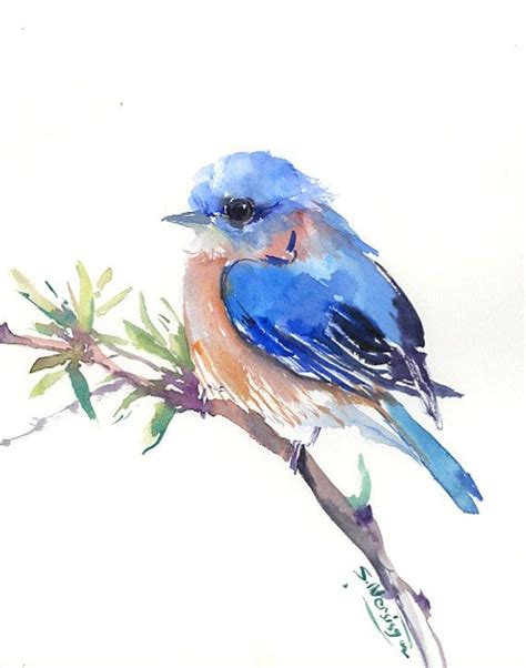 Eastern Bluebird Original Watercolor Painting 10 X 8 In Bluebird
