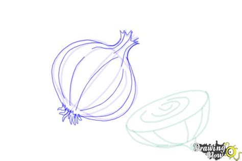 How To Draw An Onion Drawingnow