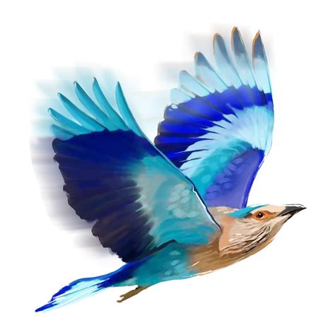 Awesome Editing Zone Png Bird For Picsart Editing