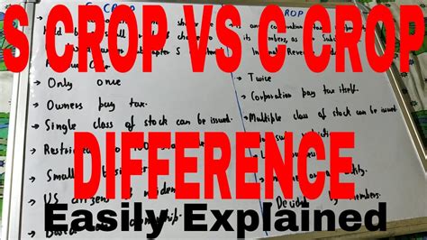 S Corp Vs C Corp Difference Between S Corp And C Corp S Corp And C Corp