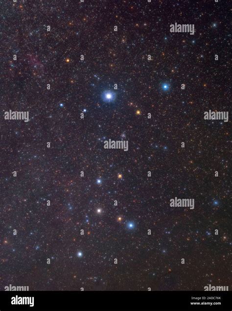 La Constelación De Canis Major Imagen óptica De La Constelación Canis