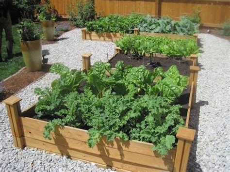 The New Vegetable Garden Yard To Table