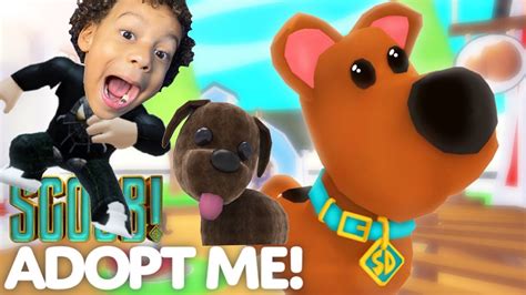 These pets were released in the month of june 2019. ADOPT ME!!! ROBLOX SCOOBY DOO PETS - YouTube
