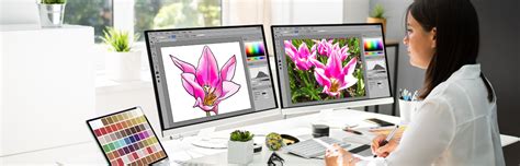 9 Best Motion Graphic Software For Everyone