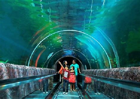 Water World Kelaniya Tunnel Aquarium On The Map Sri Lanka Finder