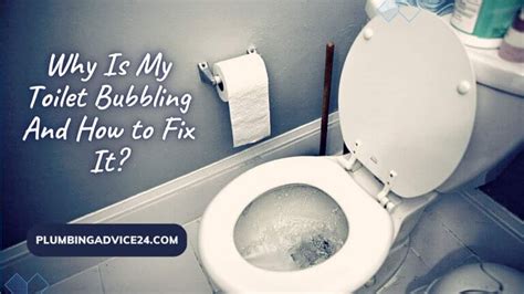 Why Is My Toilet Bubbling And How To Fix It Plumbing Advice24