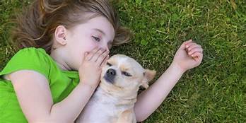 Canines assist kids with better socially and sincerely
