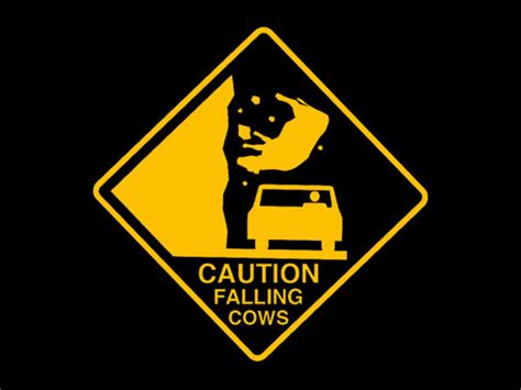 Funny Tshirt Caution Falling Cows T Shirt Road Sign Mens Etsy