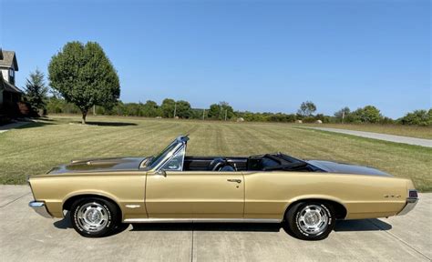 1965 Pontiac Gto Tiger Gold Convertible For Sale Pontiac Gto 1965 For