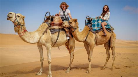 Paseos En Camello El Destino Mexicano Donde Puedes Disfrutar Esta