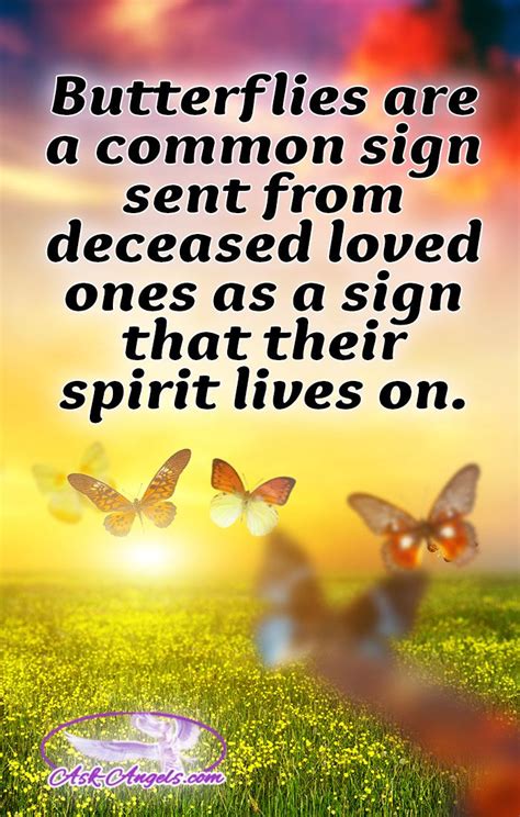 We did not find results for: Butterfly Meaning - The Symbolism Will Surprise You ...