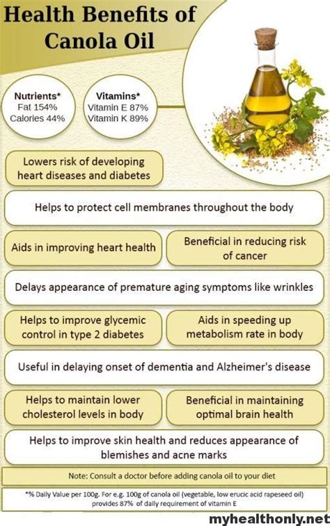 5 Impressive Benefits Of Canola Oil You Must To Know My Health Only