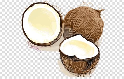 Coconut Clipart Coconut Coconut Milk Plant Transparent Clip Art