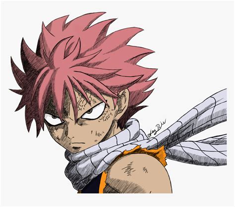 Black And White Stock Fairy Tail Drawing Drawing Anime Natsu Fairy