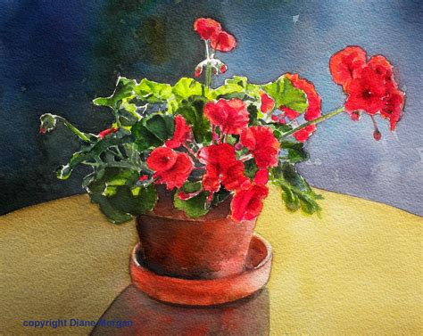Watercolor Geraniums At Explore Collection Of
