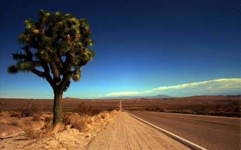 Free Download Joshua Tree National Park Hd Wallpapers All Hd Wallpapers