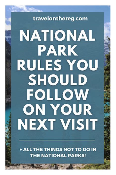 20 National Park Rules And What Not To Do In A National Park Travel