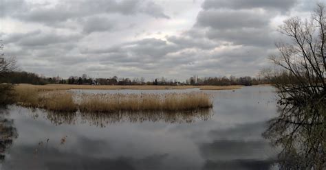 When visiting the lokeren area, expedia can provide you with extensive molsbroek nature reserve information, as well as great savings on nearby hotels and flights! Molsbroek - Lokeren - Belgium | Roland Tempels | Flickr